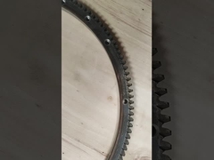 ابزار حلقه ای برای پرنده ها