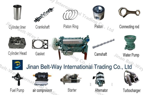 قطعات موتور سینوتروک Assy Vg1560080300 با استاندارد