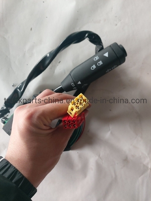 تغییر ترکیب Wg9130583017 پرداخت حمایت در دلار برای Sinotruk HOWO Truck Parts