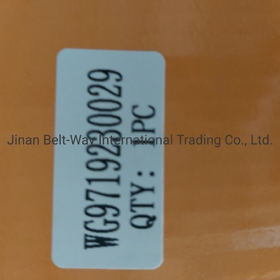 سینوتروک HOWO قطعات کامیون کلاچ تقویت کننده سیلندر Wg9719230029 مناسب برای کامیون خود را