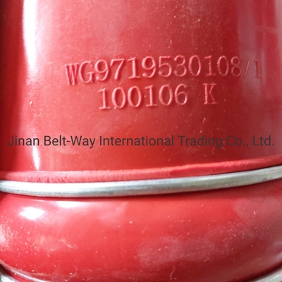 دلار پرداخت پشتیبانی شده Sinotruk HOWO قطعات کامیون Intercooler Outlet Hose Wg9719530108