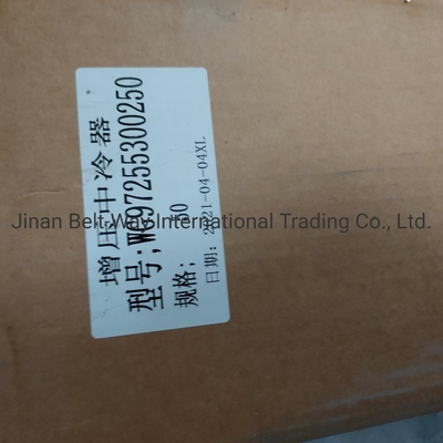Sinotruk HOWO قطعات جانبی کامیون Intercooler Wg97255300250 Wg9725530020