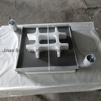 Sinotruk HOWO قطعات جانبی کامیون Intercooler Wg97255300250 Wg9725530020