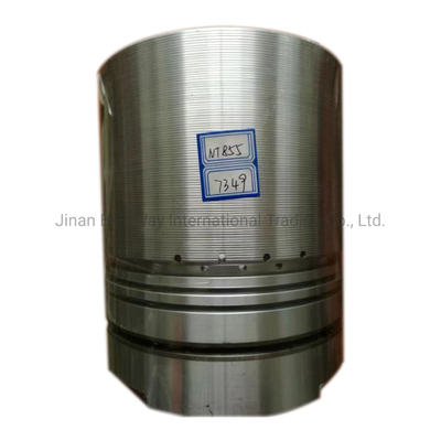 Nt855 139.7 قطعات موتور دیزل پیستون برای حمل و نقل کامینز و زمان تحویل تخمین زده شده